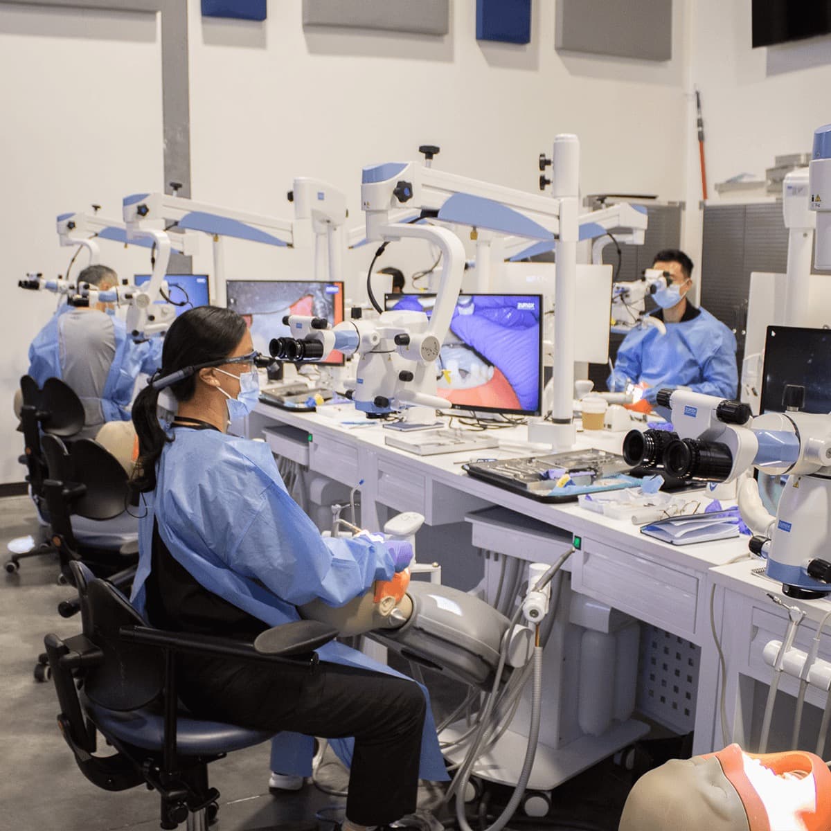The bench line seen end-on: several participants working at their own microscope stations, each with a lit monitor showing their own magnified view